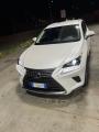 usato LEXUS NX