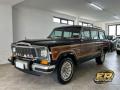 usato JEEP Wagoneer