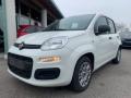 usato FIAT Panda