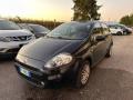 usato FIAT Punto