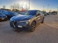 usato ALFA ROMEO Stelvio