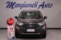 usato FORD EcoSport