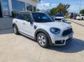 usato MINI Countryman