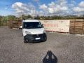 usato FIAT DOBLO