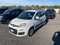 usato FIAT New Panda