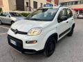 usato FIAT Panda