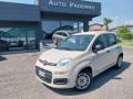 usato FIAT Panda