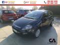 usato FIAT Punto Evo