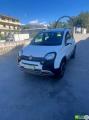 usato FIAT Panda Cross