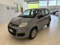 usato FIAT Panda