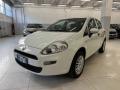 usato FIAT Punto