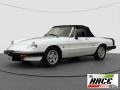 usato ALFA ROMEO Spider