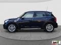 usato MINI Countryman