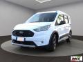 usato FORD Tourneo Connect