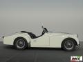 usato TRIUMPH TR 3