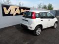 usato FIAT Panda