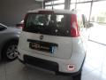 usato FIAT Panda