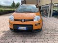 usato FIAT Panda