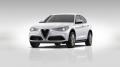 usato ALFA ROMEO Stelvio