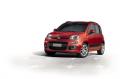 usato FIAT Panda