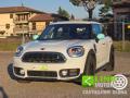 usato MINI Countryman