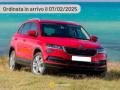 nuovo SKODA Karoq