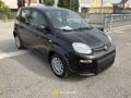 Km 0 FIAT Panda