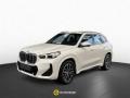 usato BMW X1