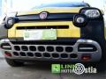 usato FIAT Panda Cross