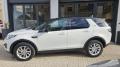 usato LAND ROVER Discovery Sport