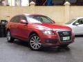 usato AUDI Q5