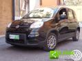 usato FIAT Panda