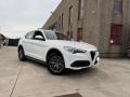 usato ALFA ROMEO Stelvio