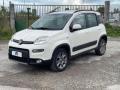 usato FIAT Panda