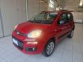 usato FIAT Panda