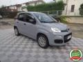 usato FIAT Panda