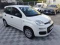 usato FIAT Panda