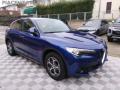 usato ALFA ROMEO Stelvio