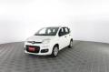 usato FIAT Panda