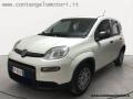 usato FIAT Panda