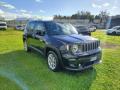 usato JEEP Renegade