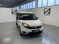 usato FIAT Doblo