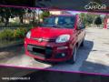 usato FIAT Panda