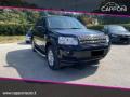 usato LAND ROVER Freelander