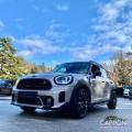 usato MINI Countryman