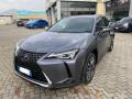 usato LEXUS UX 250h