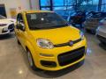 nuovo FIAT Panda