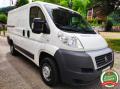 usato FIAT Ducato