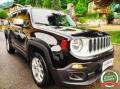 usato JEEP Renegade