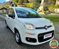 usato FIAT Panda